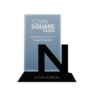 Nshama Top Achievement Award 2017